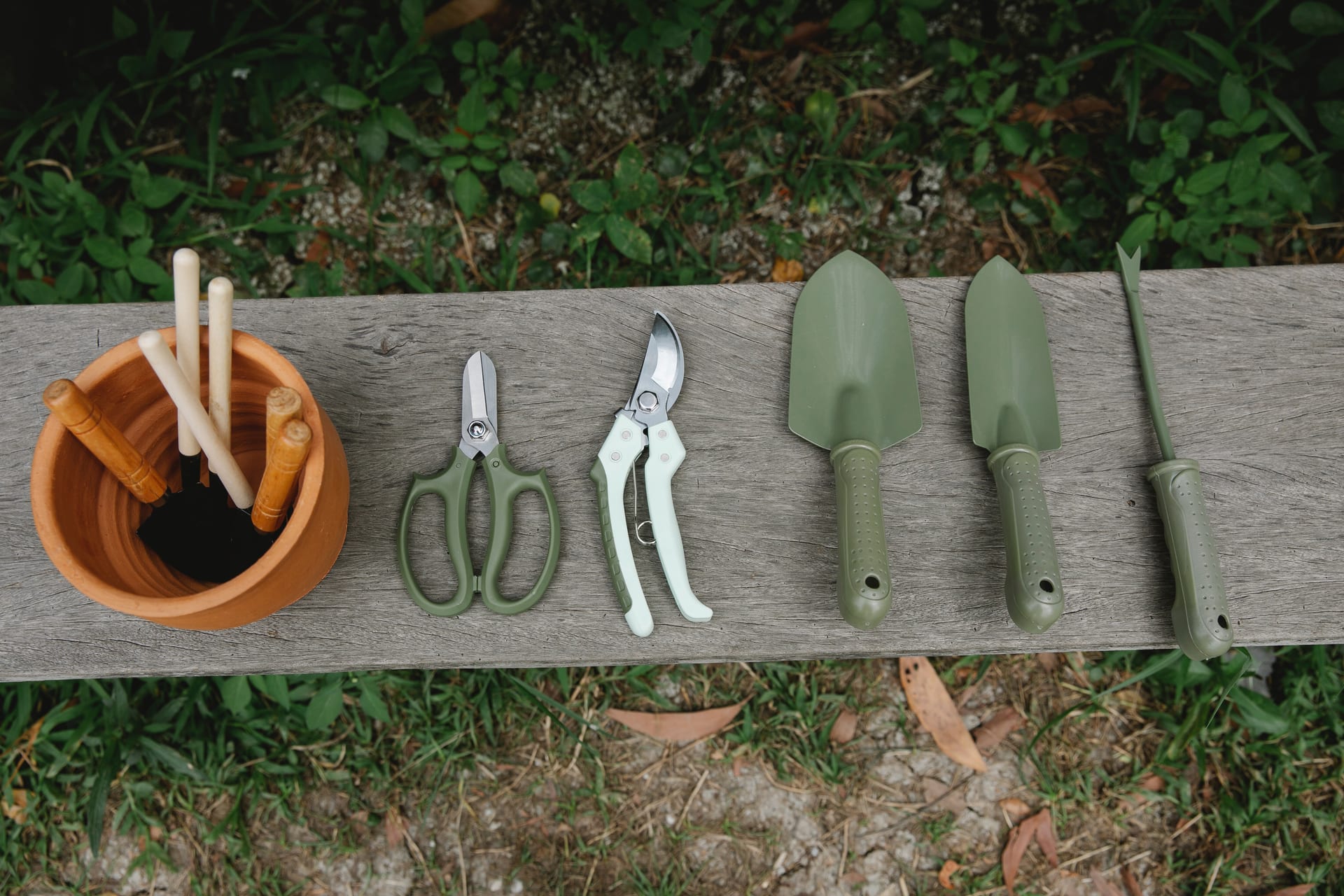 Professional gardening tools used for Auckland garden maintenance