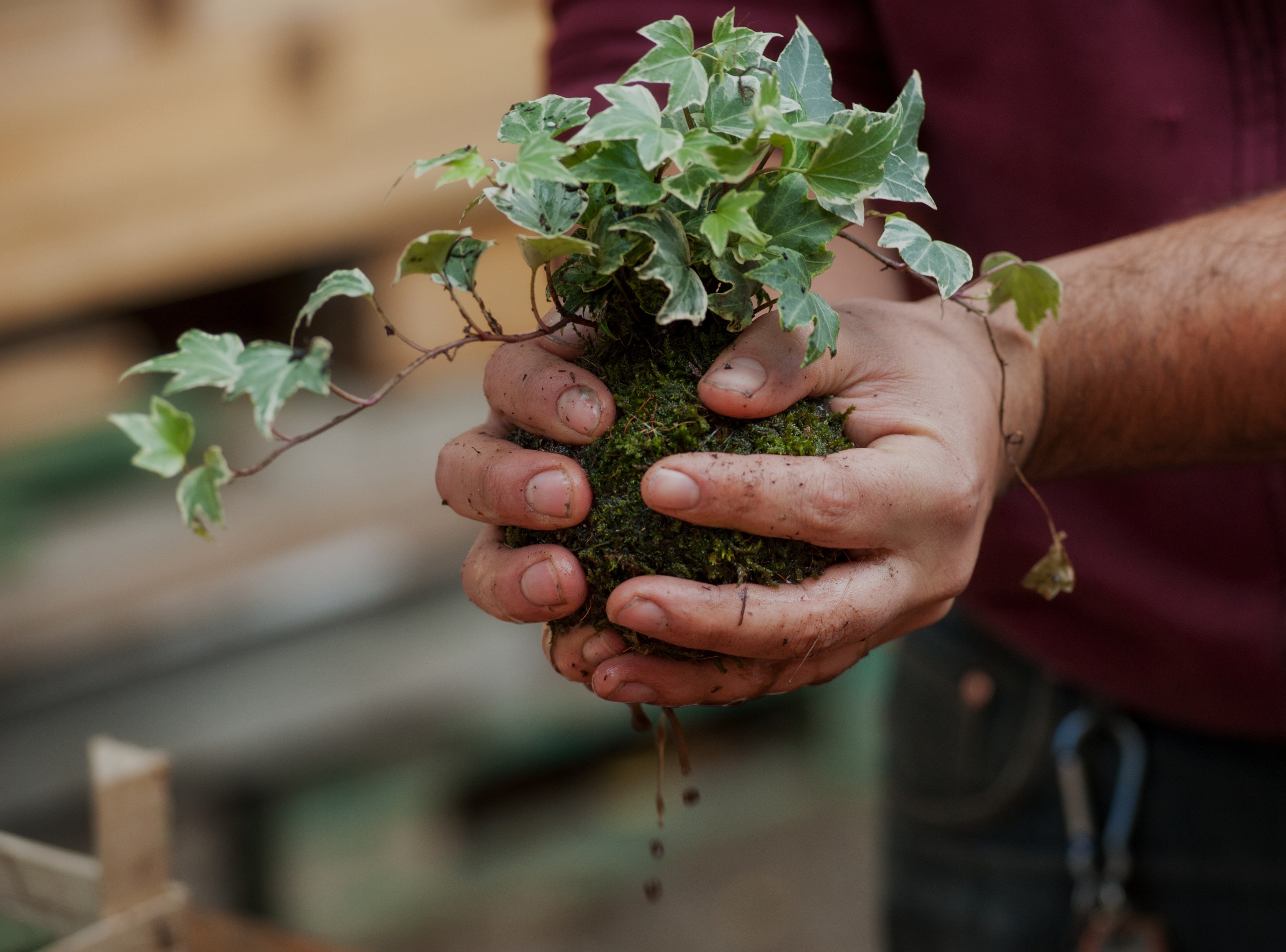 Planting and more